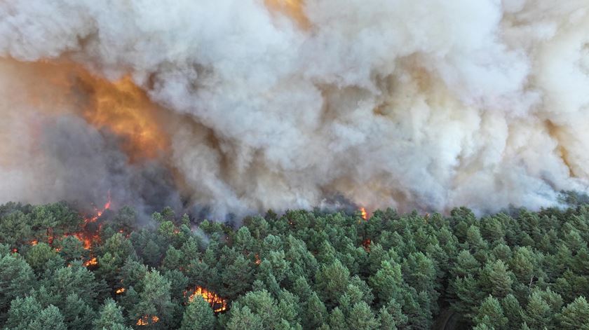 Incêndio nos arredores de Paris já consumiu mais de 800 hectares da floresta de Fontainebleau