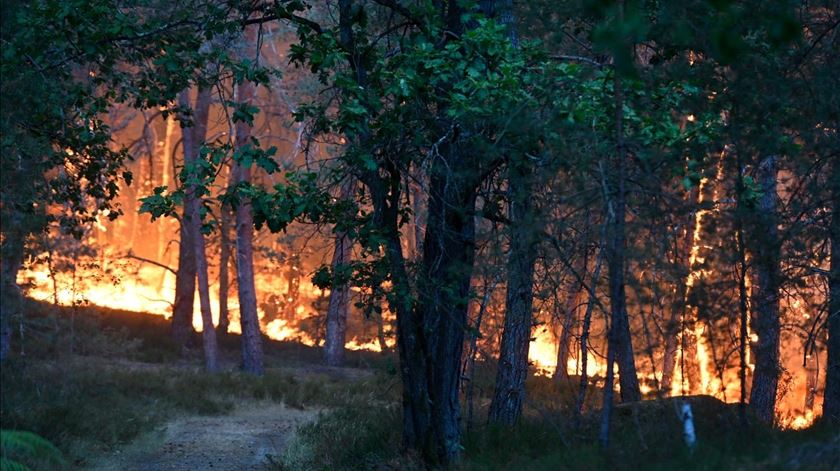 Incêndio em França. Pelo menos dois detidos por suspeita de atear chamas