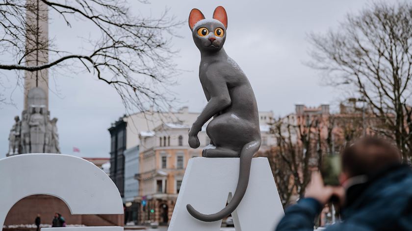 "Estamos todos no mesmo barco". O filme do gato preto que valeu o primeiro Óscar à Letónia
