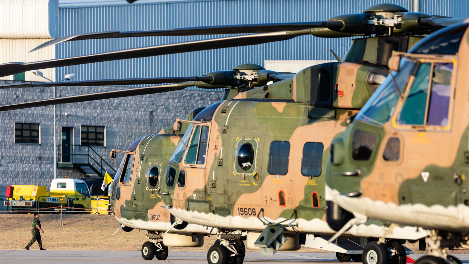 Incêndios. Exercício revela fragilidades nos helicópteros Black Hawk da Força Aérea