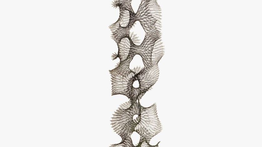 Ruth Asawa Foto: Laurence Cuneo