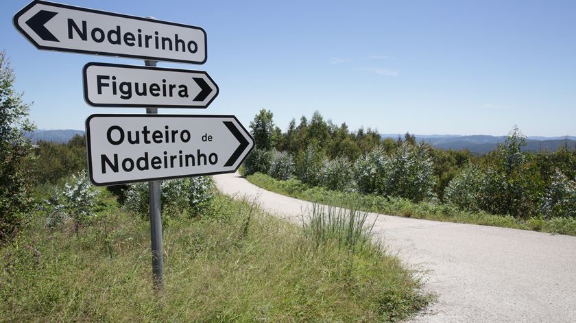 Forteris discorda da estratégia anunciada pelo Governo para as florestas