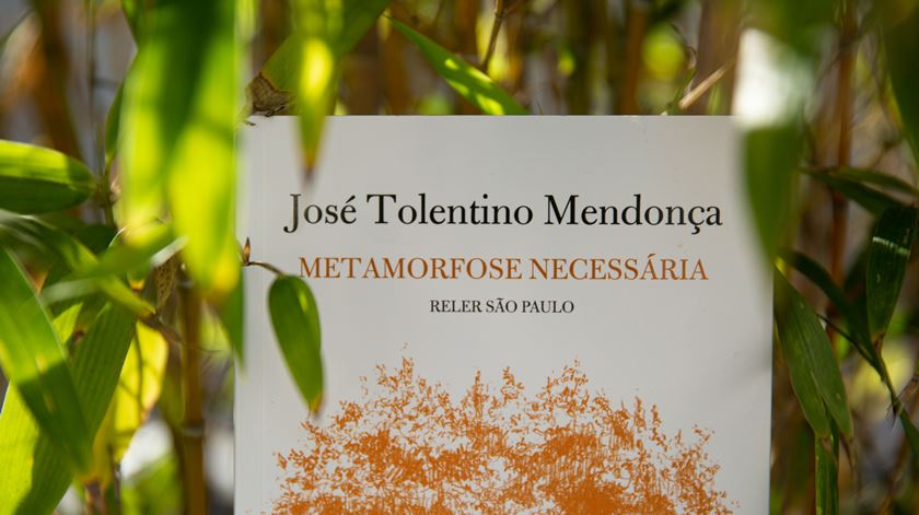 "Precisamos hoje de fundamentar as razões da nossa fé"