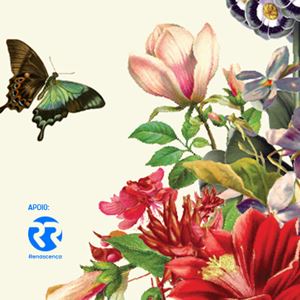 Jardins do Marquês 2026: o cartaz começa a ser revelado!