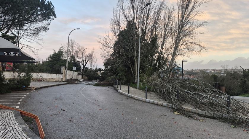Depressão Kristin deixa rasto de destruição em Leiria. Foto cedida à Renascença por Virgínia Simões