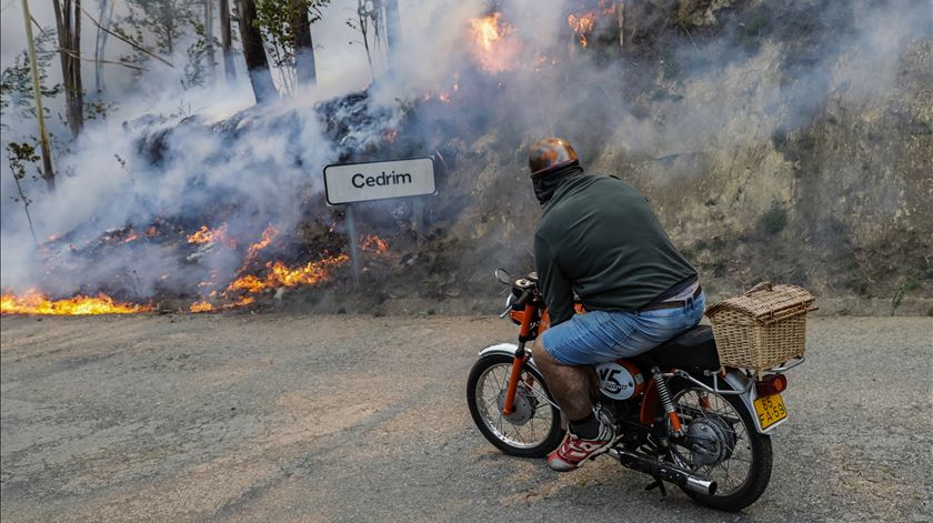 O incêndio de Oliveira de Frades já alastrou para Sever do Vouga. Foto: Paulo Novais/Lusa