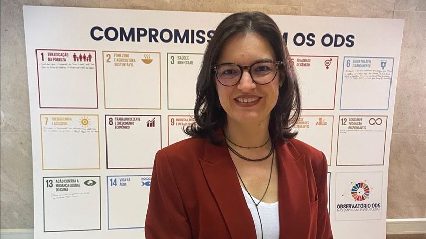 A sustentabilidade convenceu as empresas. Os ODS podem mobilizar as pessoas A sustentabilidade convenceu as empresas. Os ODS podem mobilizar as pessoas