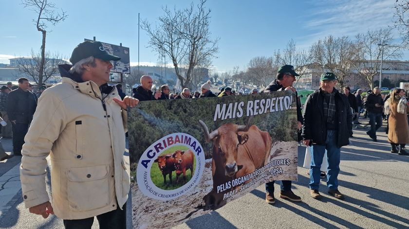 Protestos dos agricultores em Mirandela Foto: Olímpia Mairos/RR