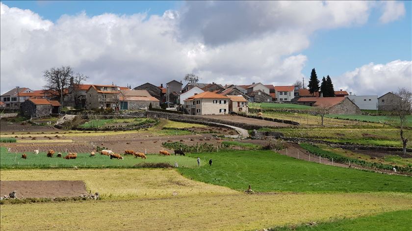 Foto: Olímpia Mairos/RR