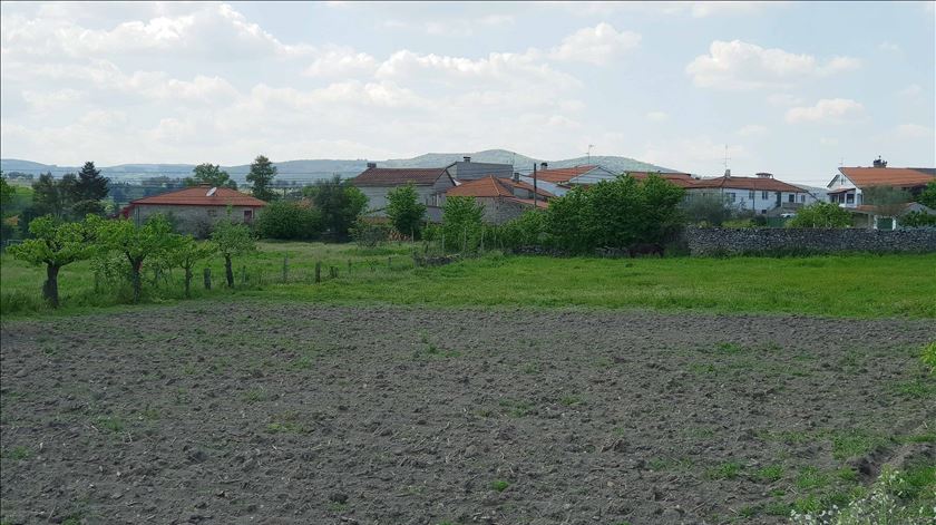 Vive no estrangeiro e quer voltar à terra? Governo alarga incentivo para o interior