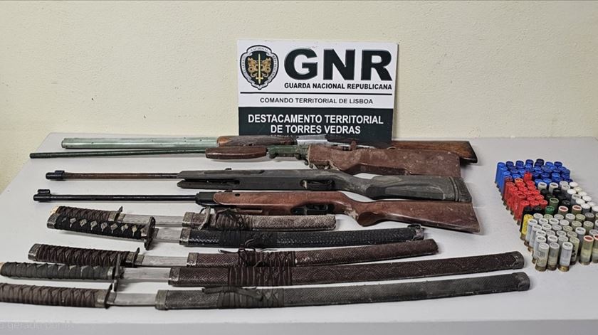 Torres Vedras: homem detido por posse ilegal de armas e maus-tratos a animal de companhia
