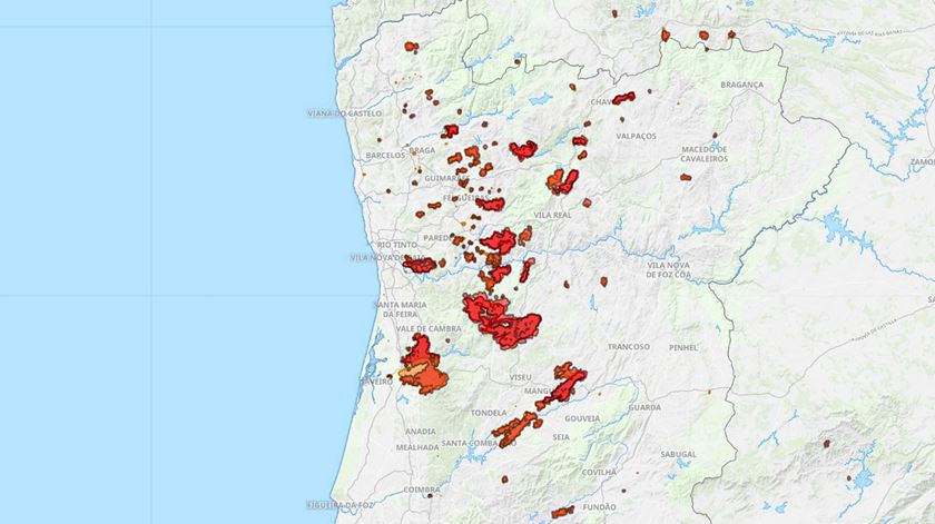 Arderam 119 mil hectares desde domingo. 2024 é o ano com mais área ardida desde 2017