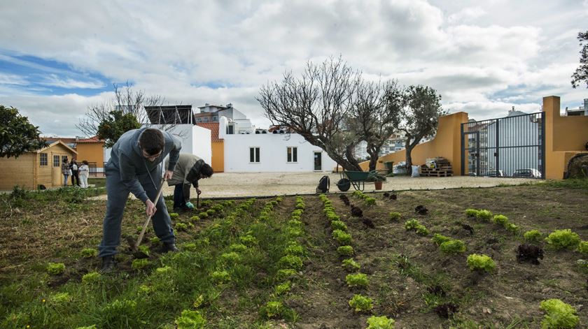 Associação de Síndrome de Asperger vandalizada à machadada