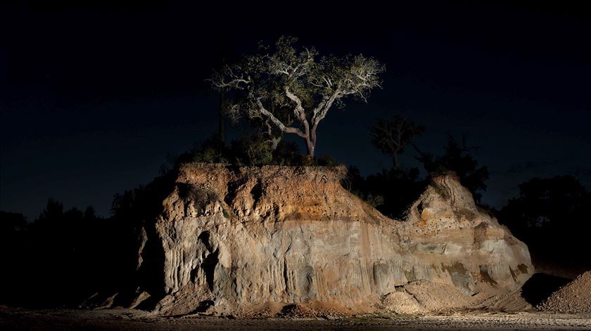 Estreias e viagens na minha terra com uma máquina fotográfica