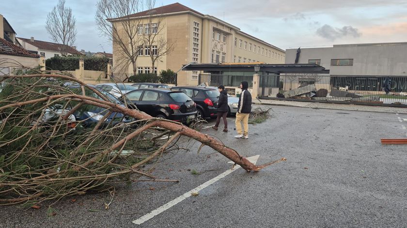 Depressão Kristin deixa rasto de destruição em Leiria. Foto cedida à Renascença por Virgínia Simões
