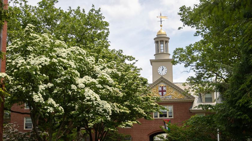 Universidade de Brown, em Rhode Island, Providence, EUA. Foto: DR