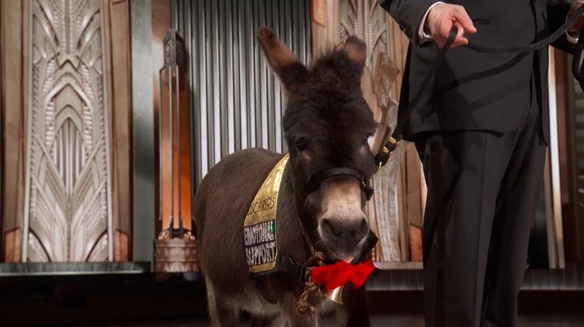 Nos Óscares mais abertos à diversidade, ganhou quem foi "Tudo em Todo o Lado ao Mesmo Tempo"