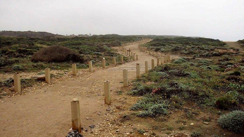 Cabo Sardão. Foto: Rosário Silva/RR