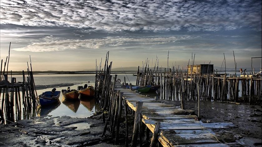 Comunidade piscatória apela à reconstrução do Cais Palafítico da Carrasqueira