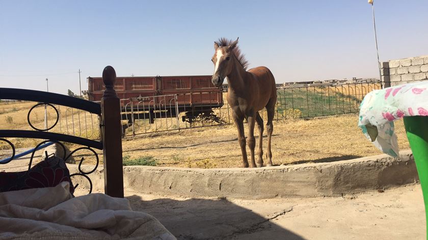 O jornalista passou nove noites nesta cama ao relento. Foto: Paulo Moura