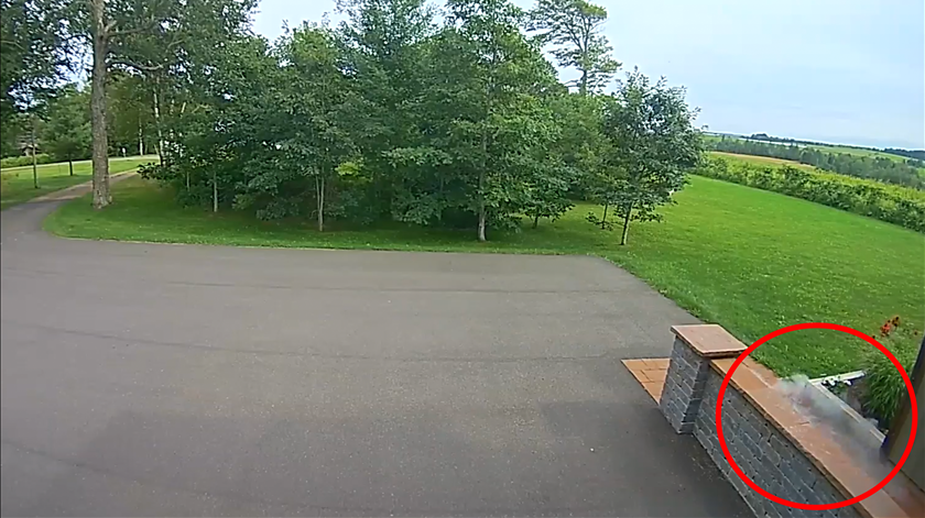 Câmara de campainha de casa regista raro vídeo da queda de meteorito no Canadá