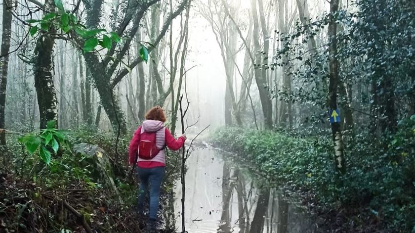 Caminho de Santiago: Governo da Galiza reconhece Caminho da Geira e dos Arrieiros