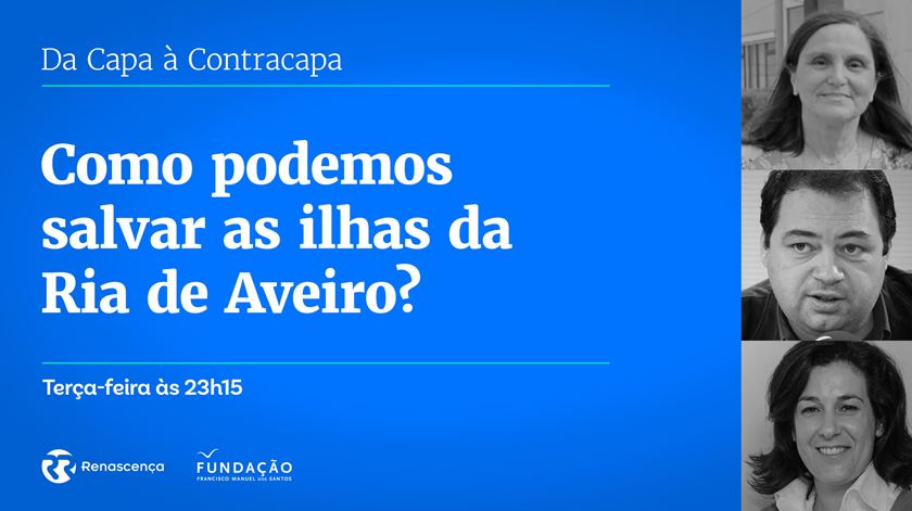 ​Será possível salvar as Ilhas da Ria?