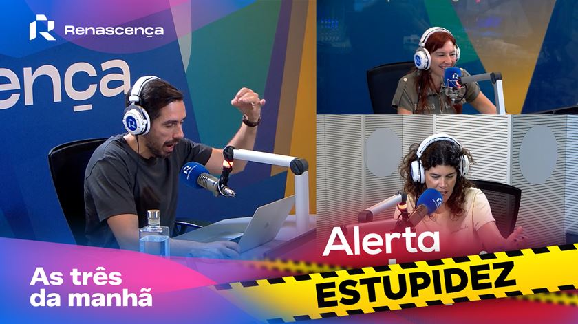 Veados bêbados - Alerta Estupidez