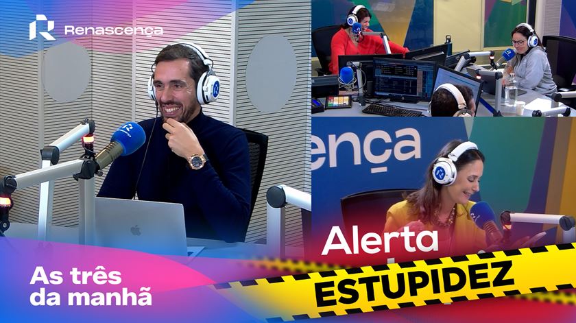 O amor dá luta - Alerta Estupidez