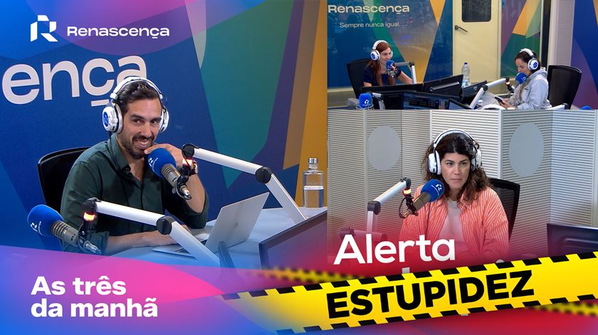 Estupidiário de Notícias - Alerta Estupidez