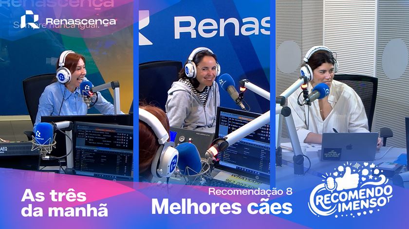 Melhores cães - Recomendo Imenso