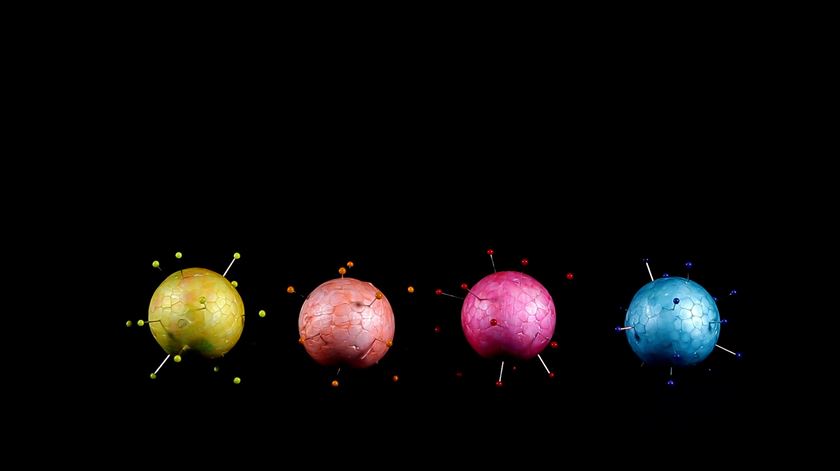 Quantas são? Onde estão? E que variantes da Covid-19 circulam em Portugal?