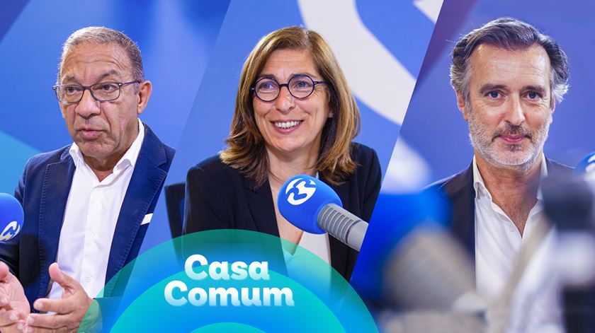 Programa económico da AD. Uma "utopia", um "insulto à inteligência"