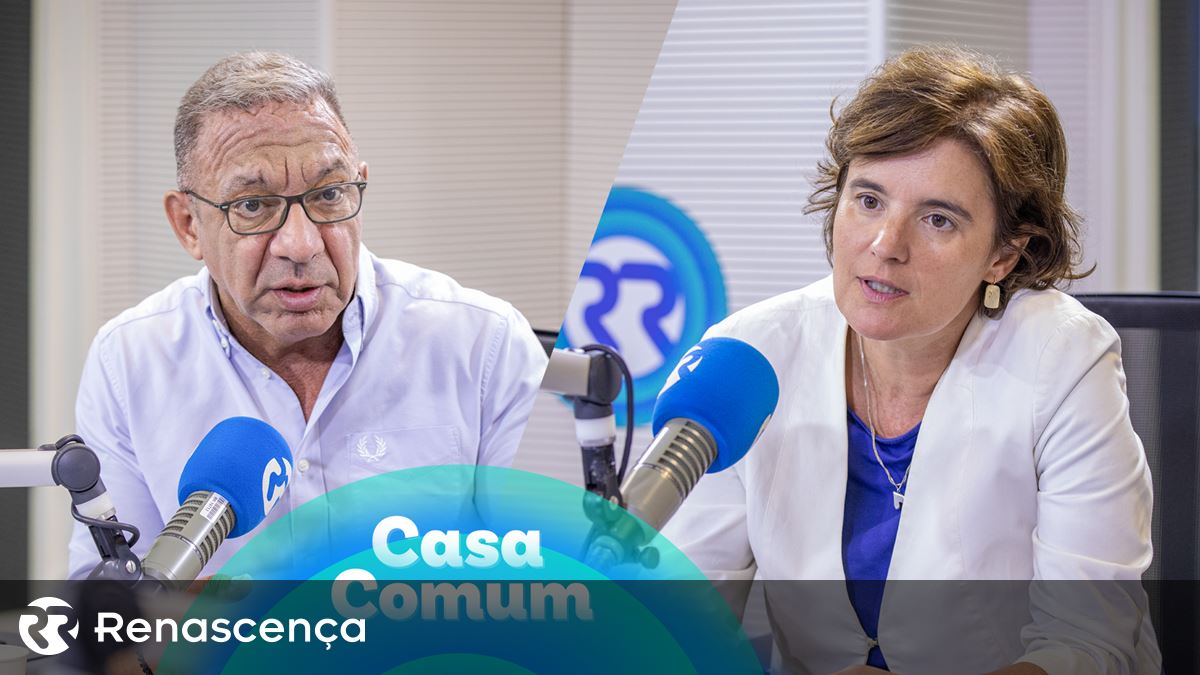 Das autárquicas às presidenciais, passando pelos sinais de paz em Gaza