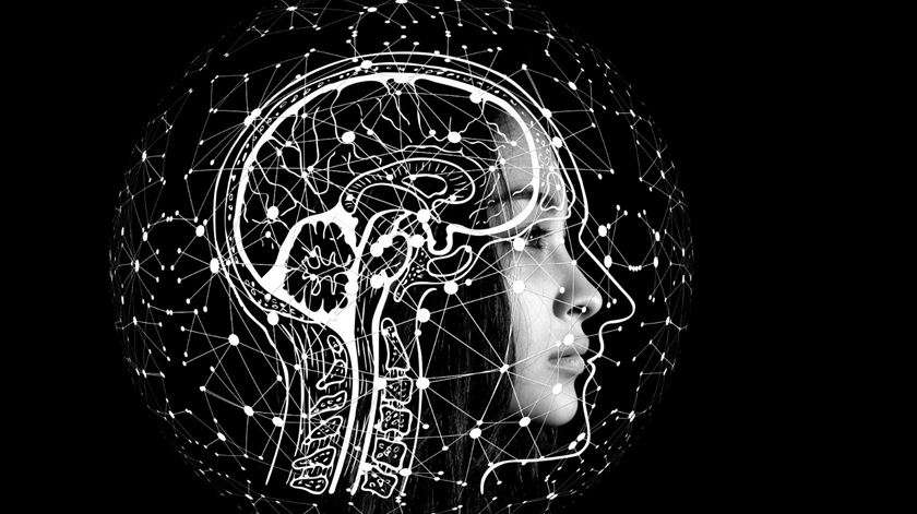 Como é que o cérebro processa emoções positivas? Cientistas de Coimbra investigam