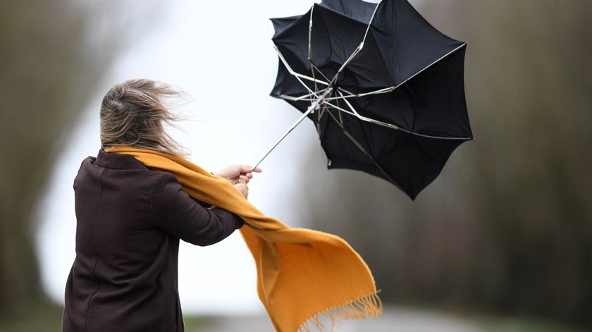 Foto: David Stockman/Reuters