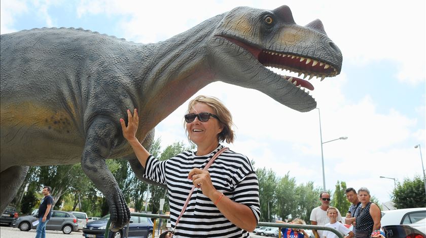 UNESCO dá aprovação preliminar à candidatura do Oeste a geoparque