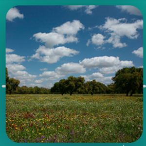 Como conciliar sustentabilidade e competitividade?