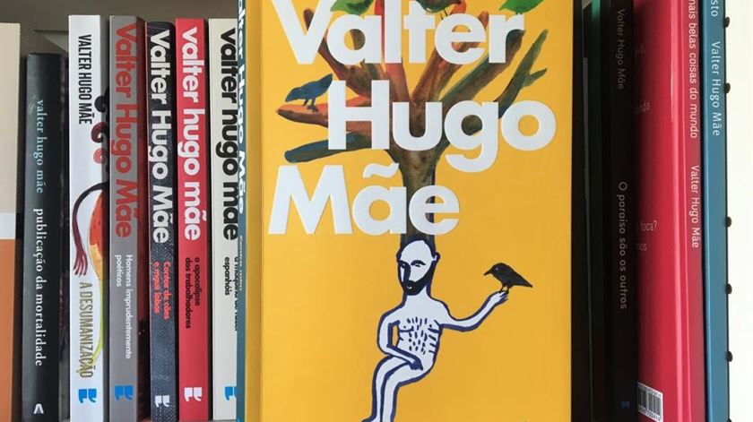 "Contra mim", o novo livro de Valter Hugo Mãe, com ilustração de Agostinho Santos. Foto: Maria João Costa/RR