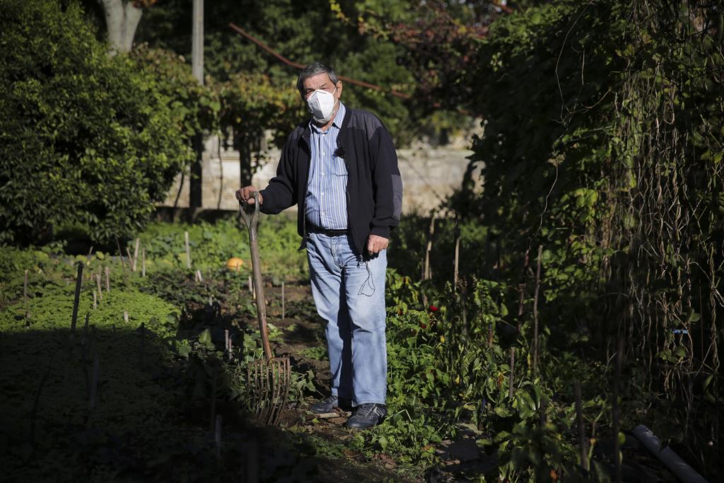 Covid-19. As histórias dos que perderam os que mais amam