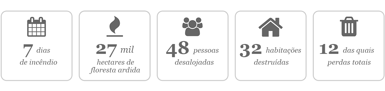 Foto Foto