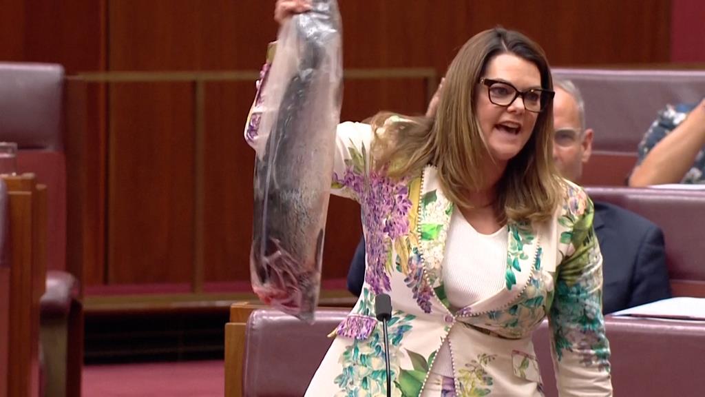 Deputada australiana mostra salmão morto no Parlamento em protesto contra lei