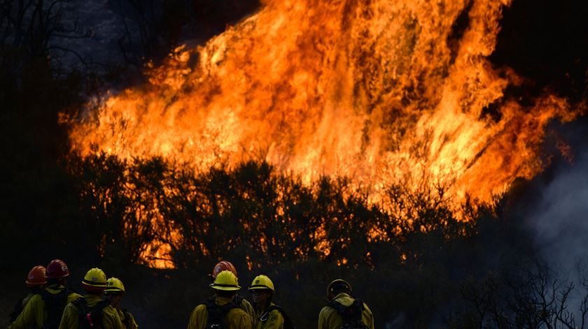 Alguns incendiários chegam a prestar apoio aos bombeiros no combate às chamas. Foto: John Cetrino/ EPA