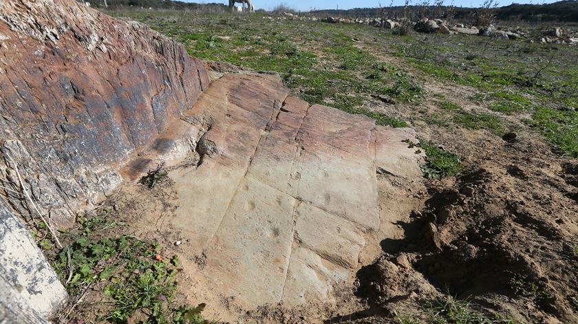 Especialistas acreditam ter sido encontrada mais arte rupestre no Guadiana Foto: Nuno Veiga/Lusa