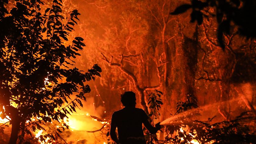  Foto: Miguel A. Lopes/EPA