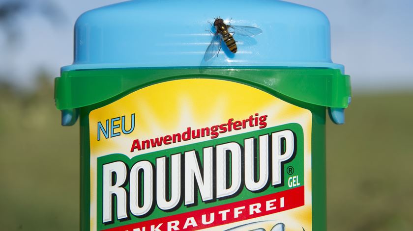 Roundup - herbicida com glifosato Foto: EPA