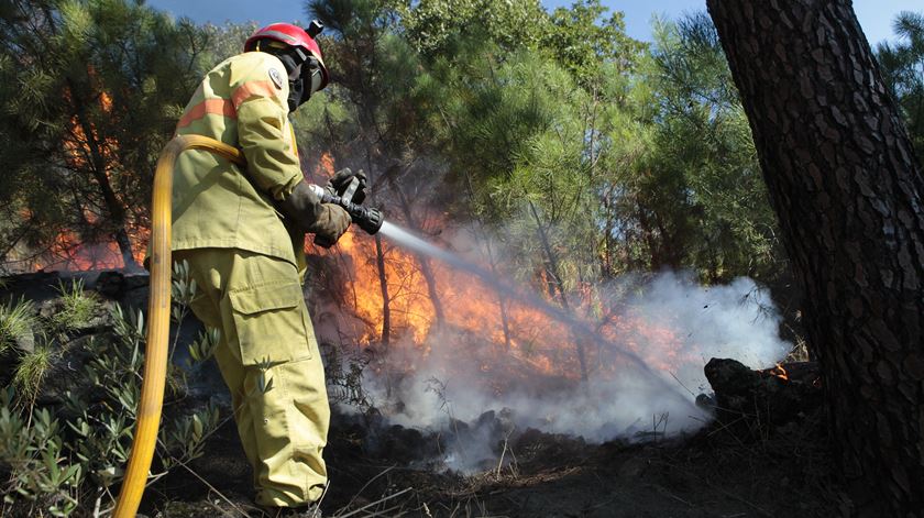 Além do perigo inerente às suas funções, os operacionais que estarão no combate aos incêndios terão de ser protegidos da Covid-19 Foto: Miguel Pereira da Silva/Lusa