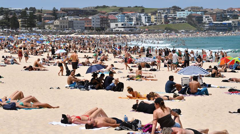 Austrália encerra praias devido ao risco de ataques de tubarões