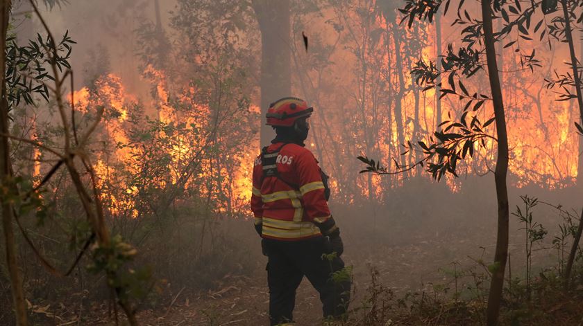 Foto: Paulo Novais/Lusa (arquivo)