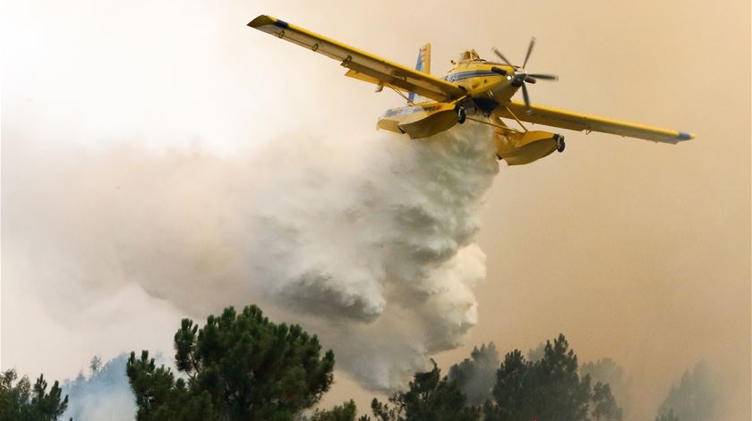 Incêndio em Castelo Branco mobiliza seis meios aéreos. Foto: António José/Lusa